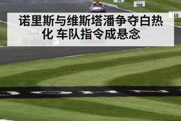 诺里斯与维斯塔潘争夺白热化 车队指令成悬念